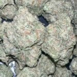 NEW ‼️$110 28g BLACK RUNTZ 29.1 THC