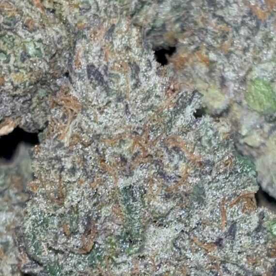 Runtz Cake 37.3% THC