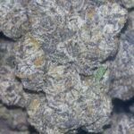 SOLD OUT‼️🔥👀 GELATO MINT 38.2% THC