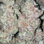 NEW‼️ Jam Session 28.6% THC