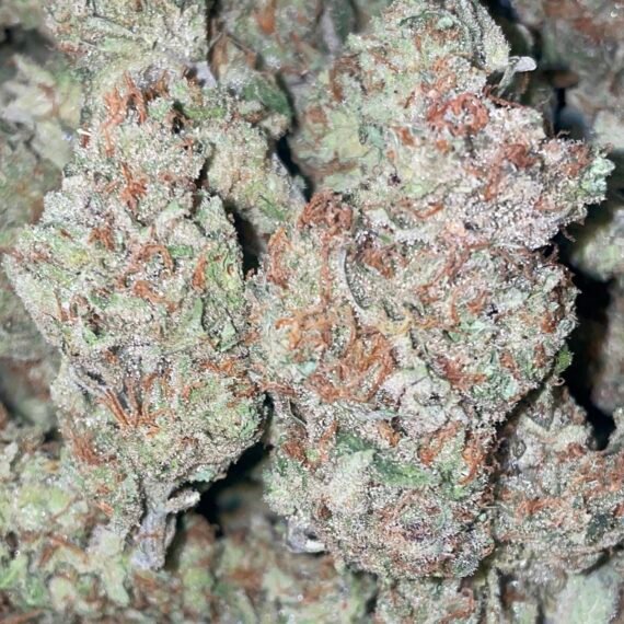 NEW‼️ Jam Session 28.6% THC