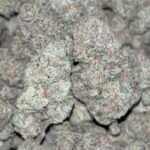 SOLD OUT‼️Lemon Cherry Runtz (Mediums) $150