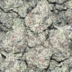 BACK‼️ KING KONG 39.1% THC (GORILLA GLUE)