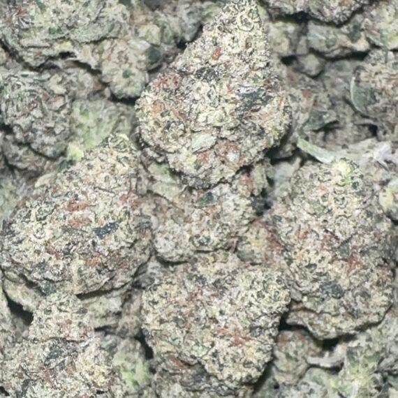 BACK‼️ KING KONG 39.1% THC (GORILLA GLUE)