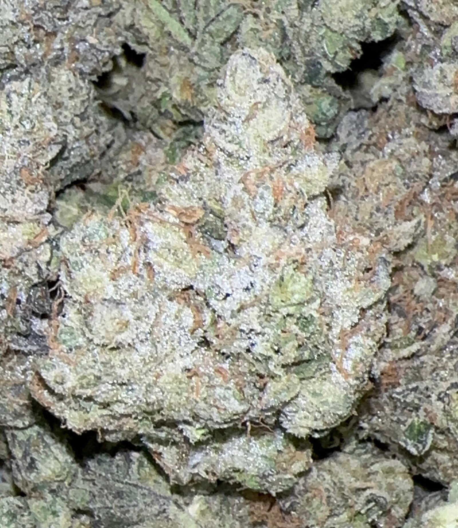 NEW‼️🔥👀 MARATHON OG 39.2% THC