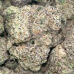 BACK‼️ $150 OZ LEMON CHERRY GUAVA 🍋🍒 38.4% THC