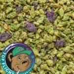 🔥 BEST SHAKE EVER 🔥