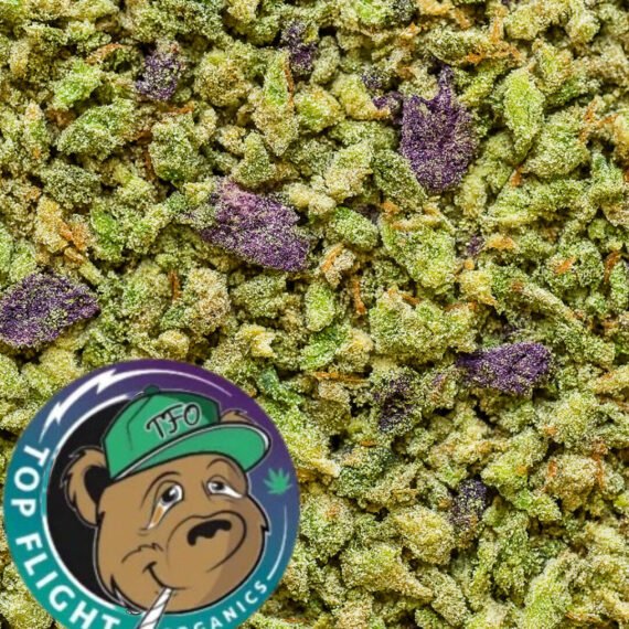 🔥 BEST SHAKE EVER 🔥